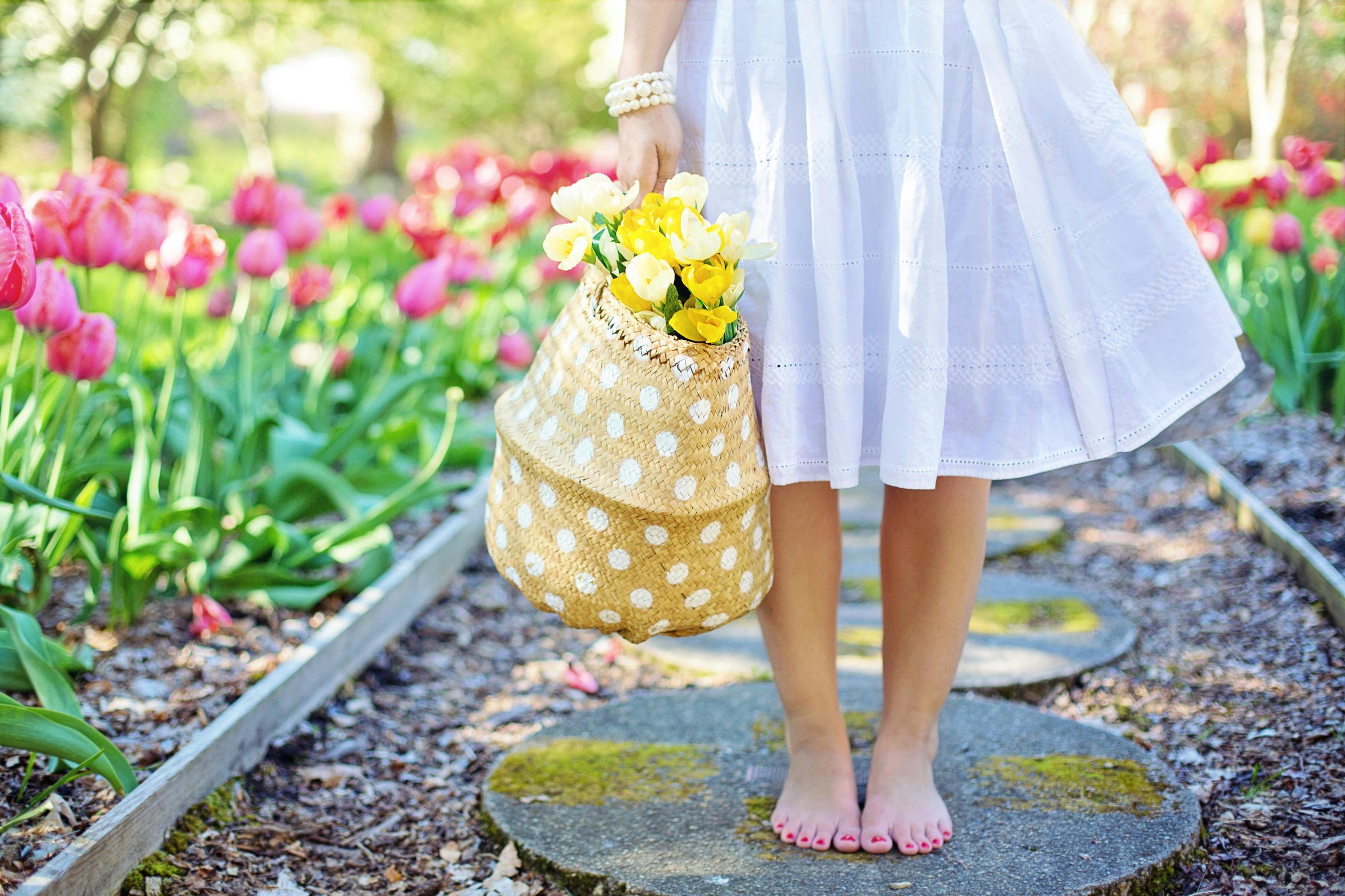 Spring Collection