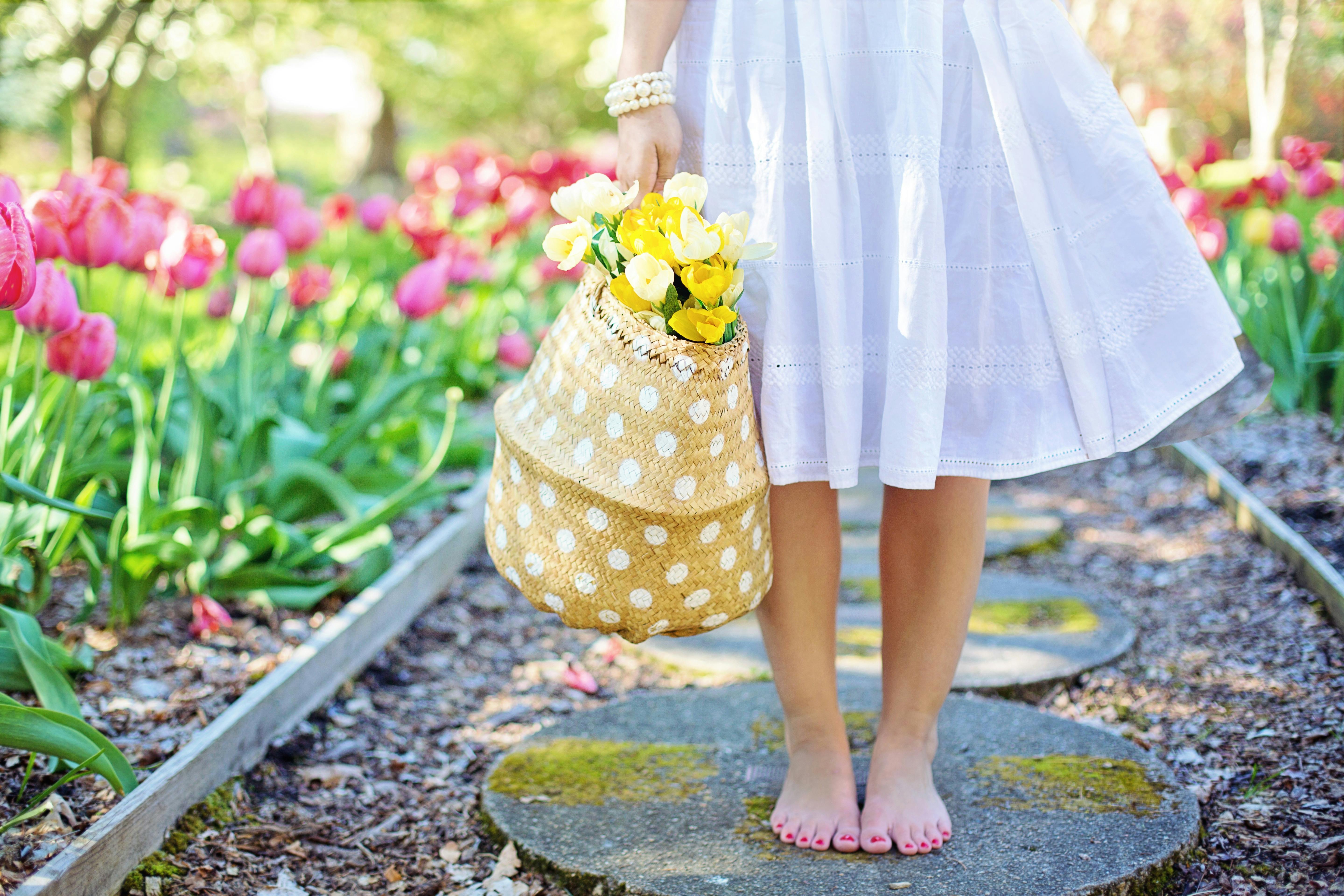 Spring Collection